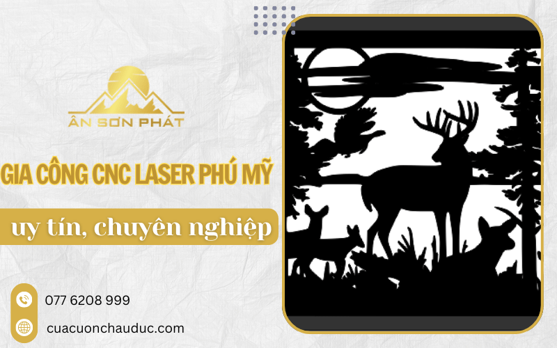 CNC Laser Phú Mỹ 